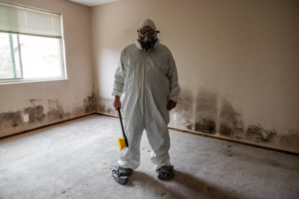 Best Mold Remediation for Specific Building Types in Fairmount, CO